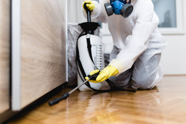 Best Wasp Removal Services  in Hubbard, TX