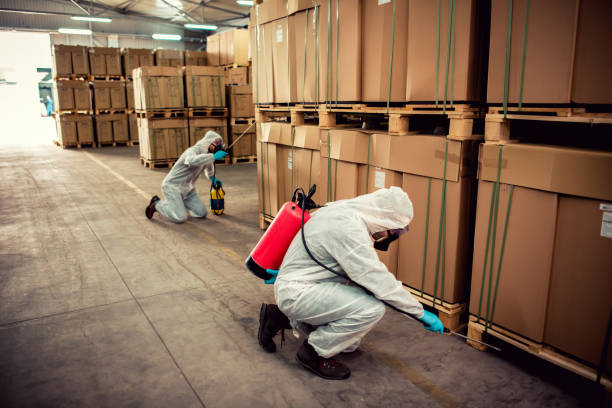 Best Bed Bug Extermination  in Hubbard, TX