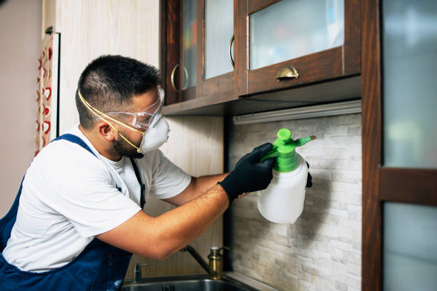 Best Residential Pest Control  in Hubbard, TX