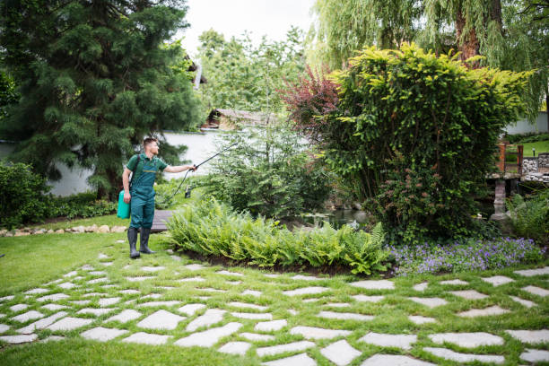 Best Affordable Pest Control Services  in Hubbard, TX