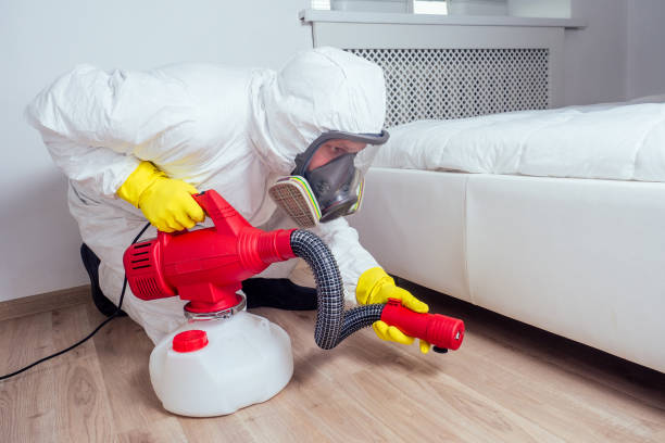 Best Rat Extermination Near Me  in Hubbard, TX