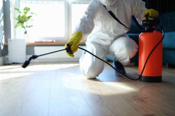 Best Affordable Pest Control Services  in Hubbard, TX
