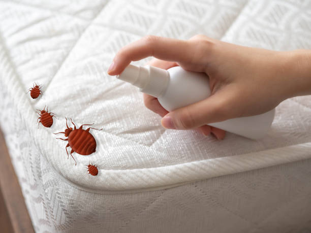 Best Pest Control Cost  in Hubbard, TX