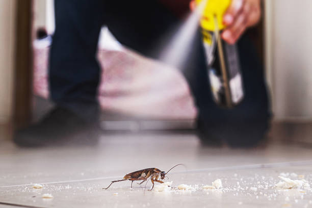 Best Pest Removal Services  in Hubbard, TX