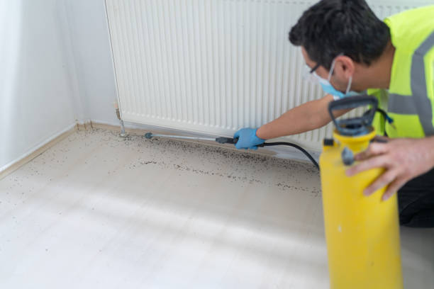 Best Pest Prevention Services  in Hubbard, TX