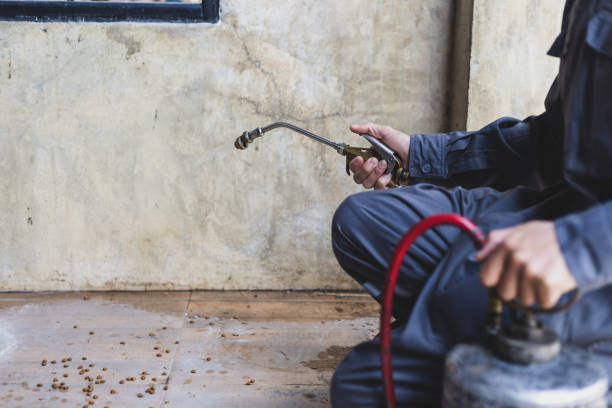 Best Best Pest Control Companies  in Hubbard, TX